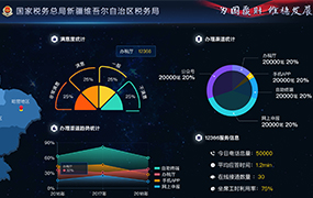 国家税务总局新疆税务局网站设计制作